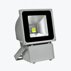 Projector LED 80W