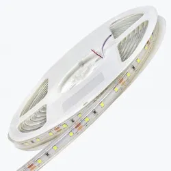 Banda LED PL-2835A-CW60-12E, IP-67,12V,14,4W/m,6500K,60led/m,5m PANLIGHT