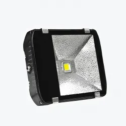 Светодиодный прожектор PL-FL 100W-W 100W 6500K PANLIGHT