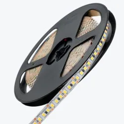 Banda LED PL-2835W180-12, IP-20,12V,14,4W/m,4000K,180led/m,5m PANLIGHT