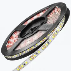 Banda LED PL-3528A-CW120A-12, IP-20,12V,9,6W/m,6500K,120led/m,5m PANLIGHT