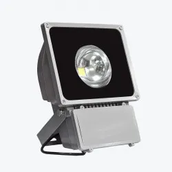 Светодиодный прожектор PL-FL 80W-W 80W 6500K PANLIGHT